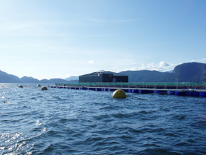 Photo of fish farm. Photo taken by Brendan Connors.