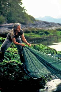 Alexandra Morton seining for salmon. Copyright: Ursula Meissner