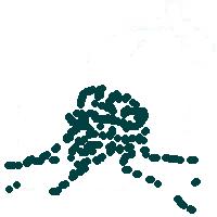 chemotaxis